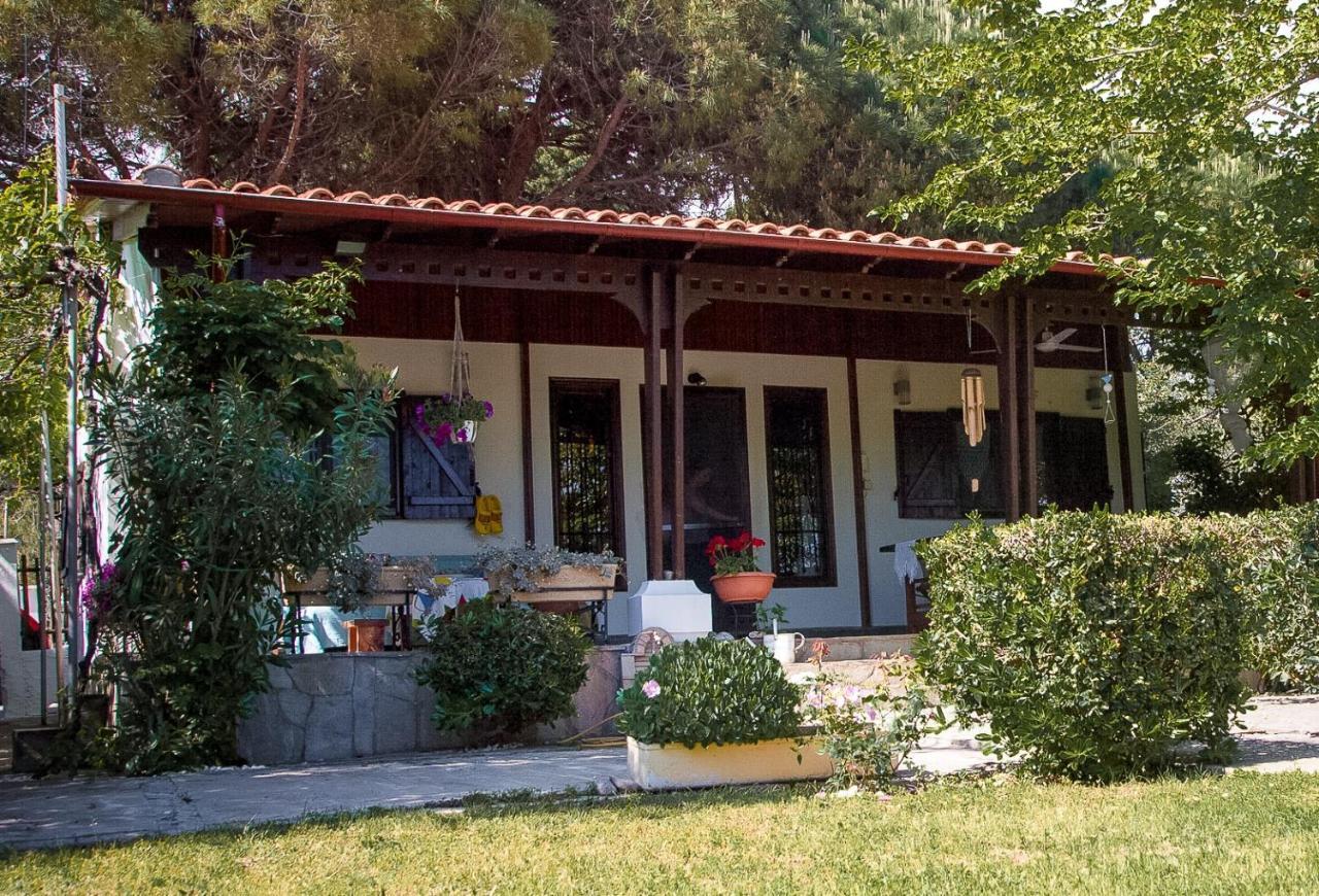 Estate Irene Alexandrópolis Exterior foto